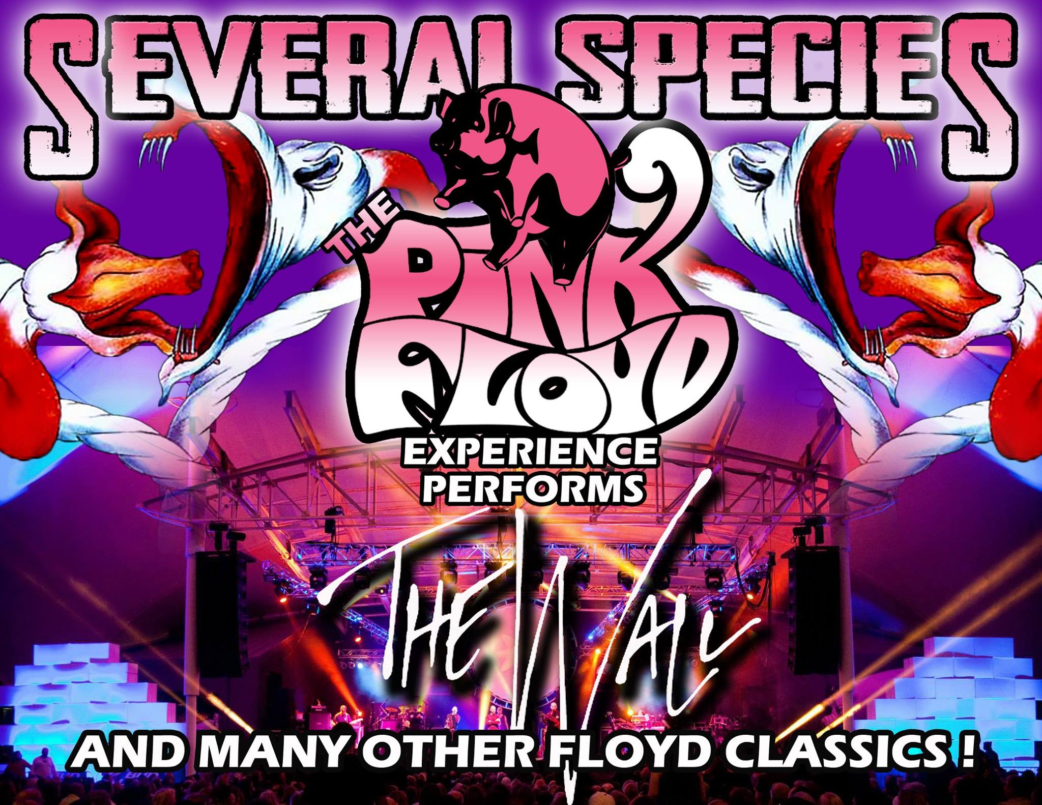Several Species – Tribute To Pink Floyd